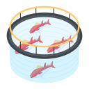 carry vessel service
